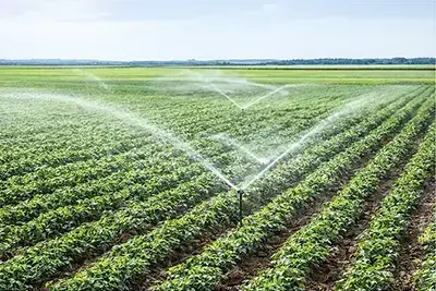 agriculture