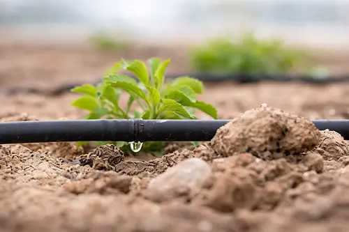 irrigation system manufacturer